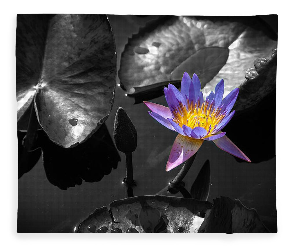Bloom Fleece Blanket featuring the photograph Water Lily by Mark Llewellyn