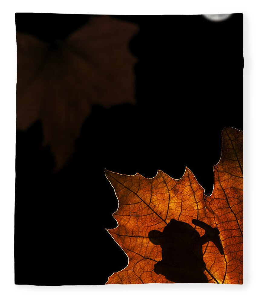 Dwarf Fleece Blanket featuring the photograph 131114p324 by Arterra Picture Library
