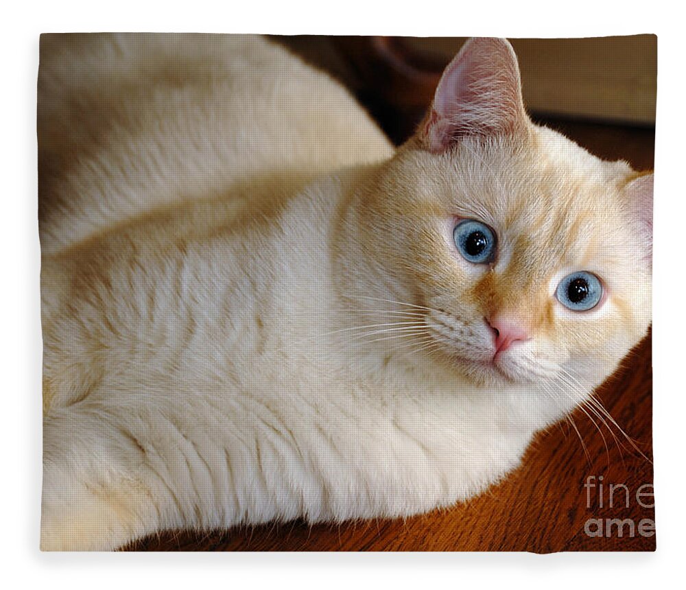 Blue Eyes Fleece Blanket featuring the photograph Flame Point Siamese Cat #17 by Amy Cicconi