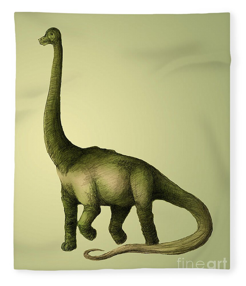 Animal Fleece Blanket featuring the photograph Brachiosaurus #2 by Spencer Sutton