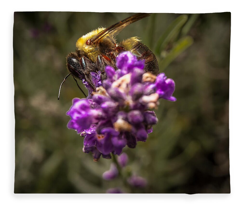 Flower Fleece Blanket featuring the photograph Carpenter Bee on a Lavender Spike by Ron Pate