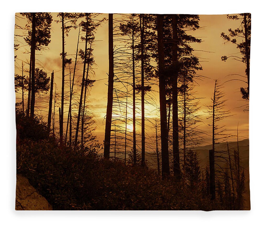 Ron Roberts Photography Fleece Blanket featuring the photograph Early Morning #2 by Ron Roberts