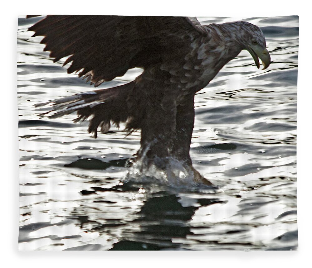 White_tailed Eagle Fleece Blanket featuring the photograph European Fishing Sea Eagle 3 by Heiko Koehrer-Wagner