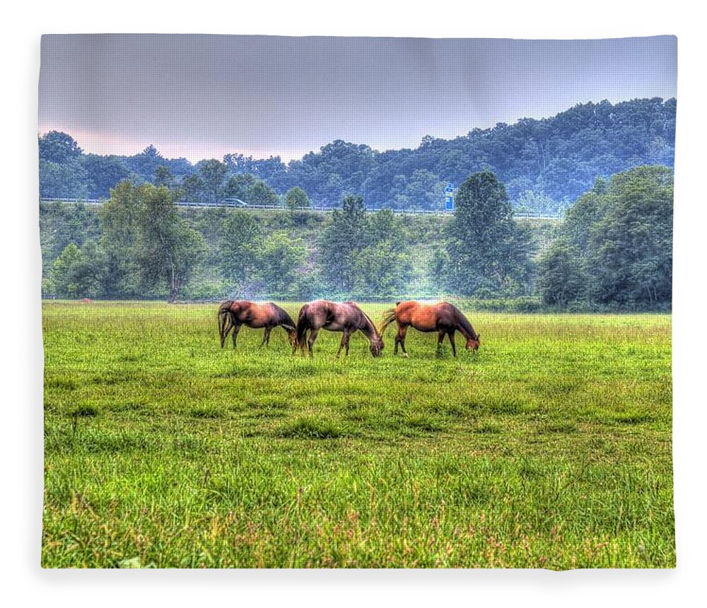 Horse Fleece Blanket featuring the photograph Horses in a field #2 by Jonny D