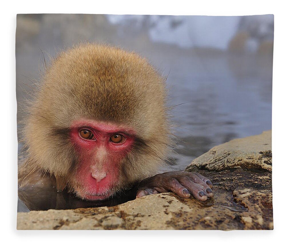 Thomas Marent Fleece Blanket featuring the photograph Japanese Macaque In Hot Spring #2 by Thomas Marent