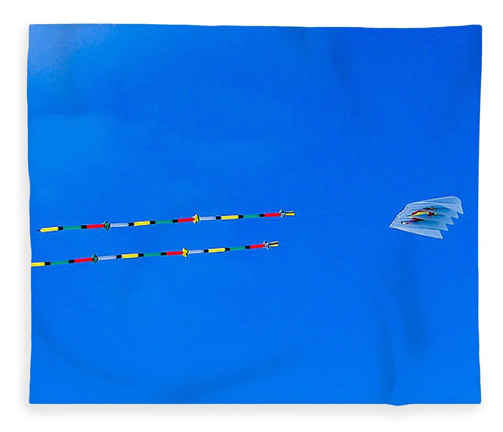 Kites Fleece Blanket featuring the photograph Kites on Ice #2 by Steven Ralser