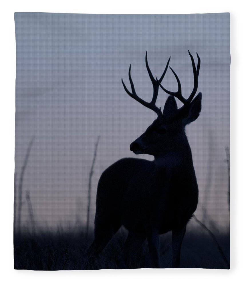Mule Fleece Blanket featuring the photograph Mule Deer Buck at Sunset #2 by Gary Langley