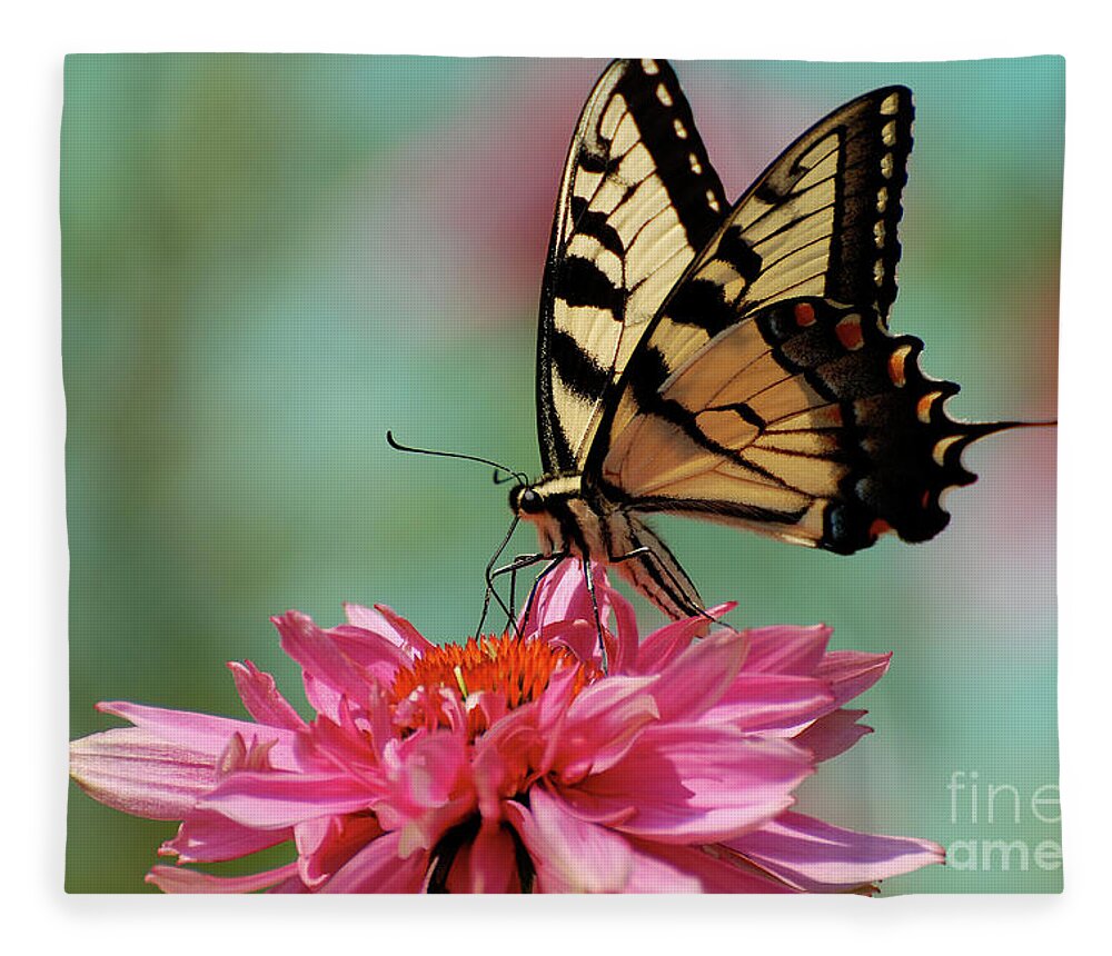 Butterfly Fleece Blanket featuring the photograph Pastel by Lois Bryan
