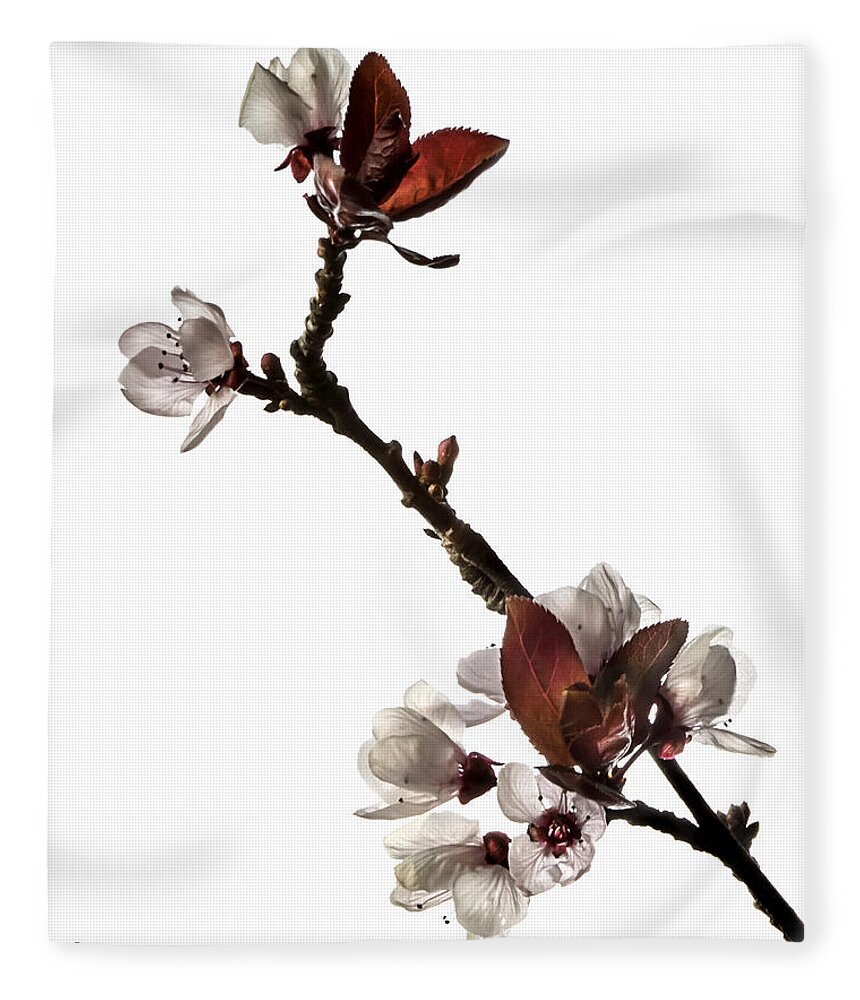 Flower Fleece Blanket featuring the photograph Plum Flowers #2 by Endre Balogh