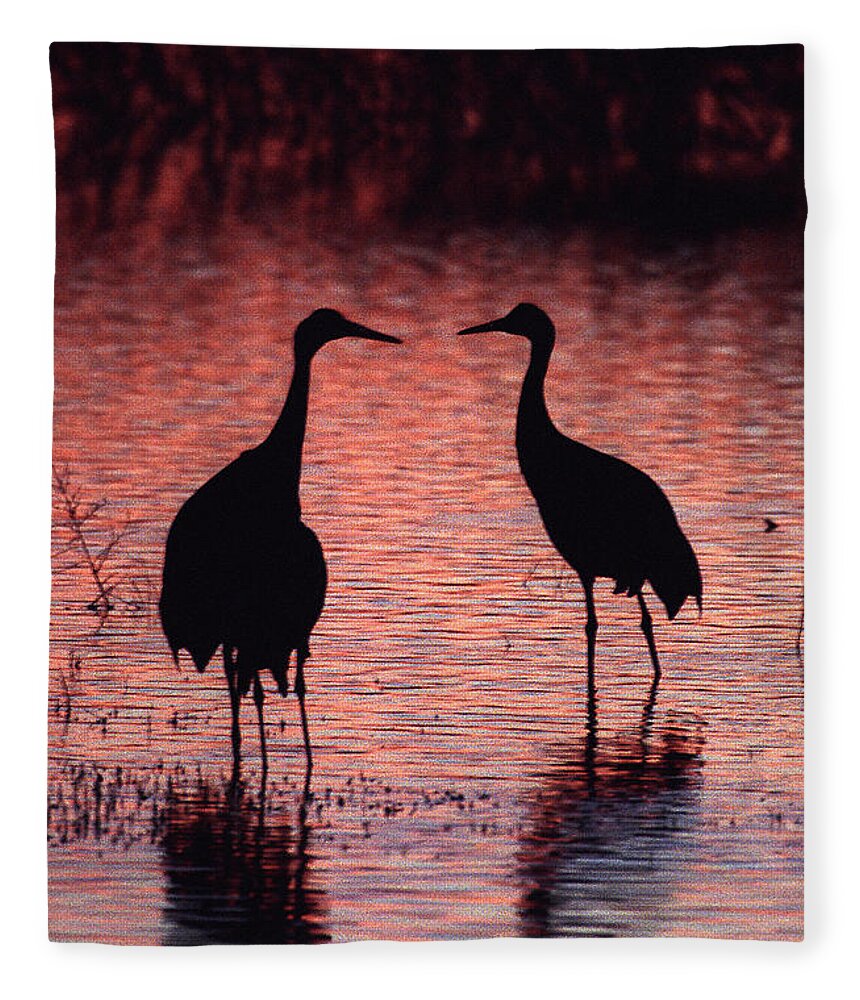 Birds Fleece Blanket featuring the photograph Sandhill cranes by Steven Ralser
