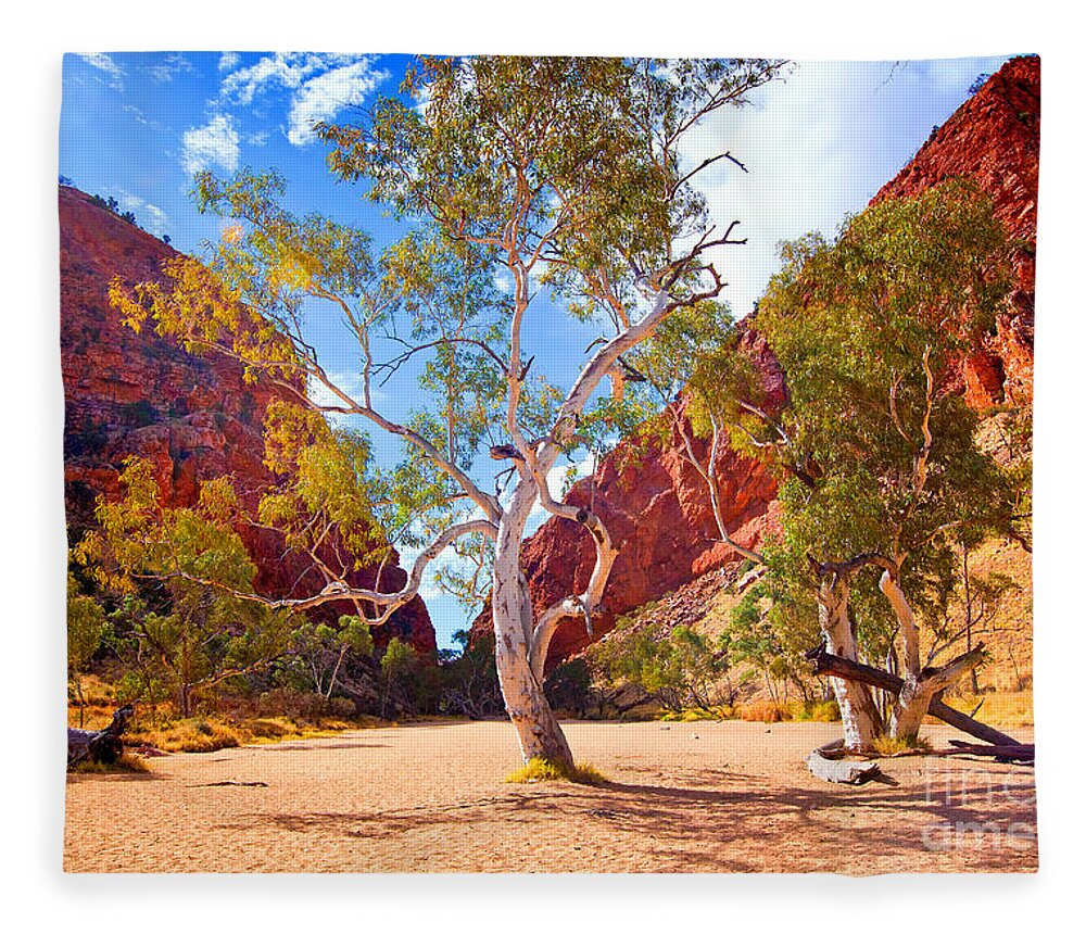 Outback Landscape Central Australia Australian Arid Fleece Blanket featuring the photograph Simpson's Gap #3 by Bill Robinson