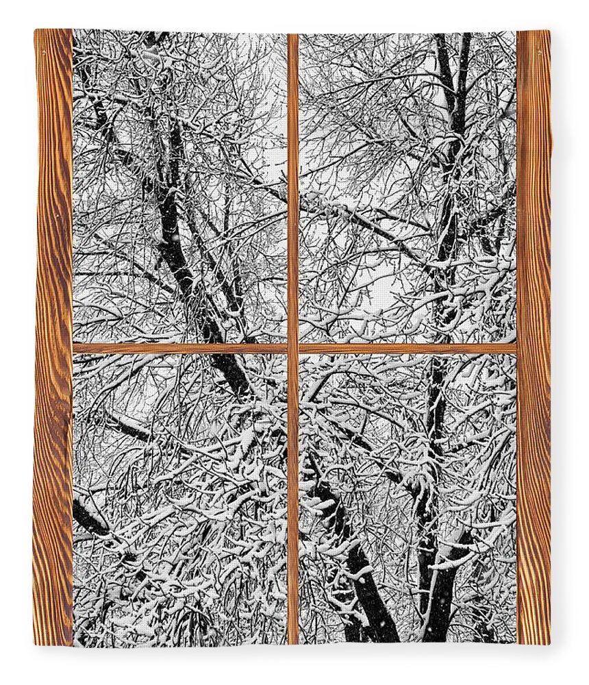 Windows Fleece Blanket featuring the photograph Snowy Tree Branches Barn Wood Picture Window Frame View #2 by James BO Insogna