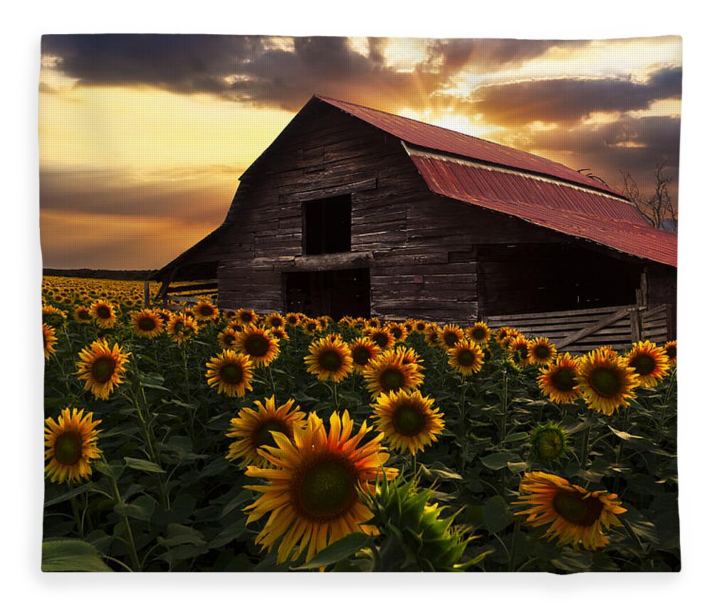 Sunflowers Fleece Blanket featuring the photograph Sunflower Farm #2 by Debra and Dave Vanderlaan