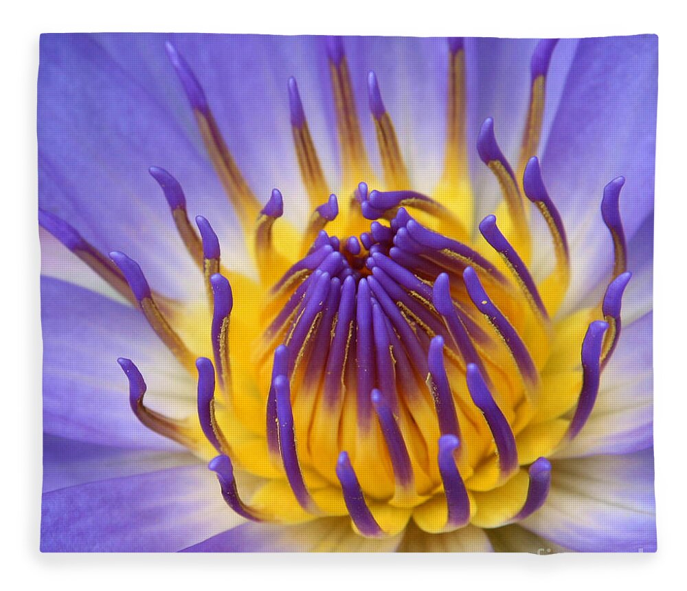 Waterlily Fleece Blanket featuring the photograph The Lotus Flower by Sharon Mau