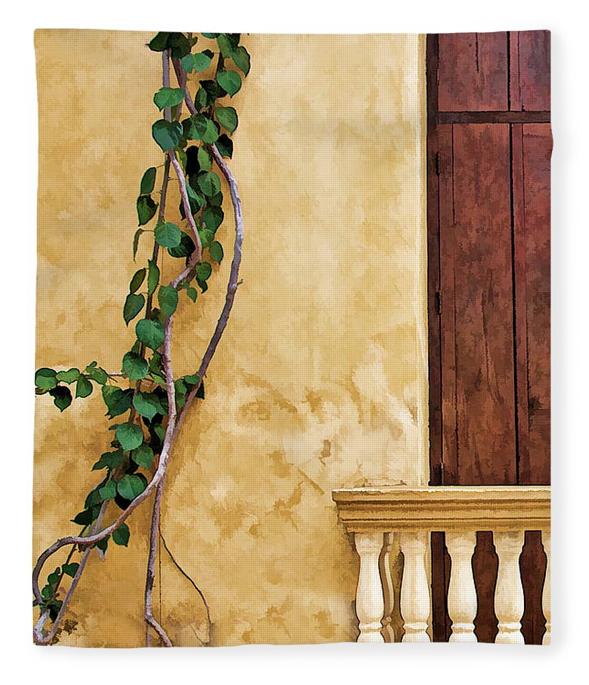 Architecture Fleece Blanket featuring the photograph Vine on Wall by Maria Coulson