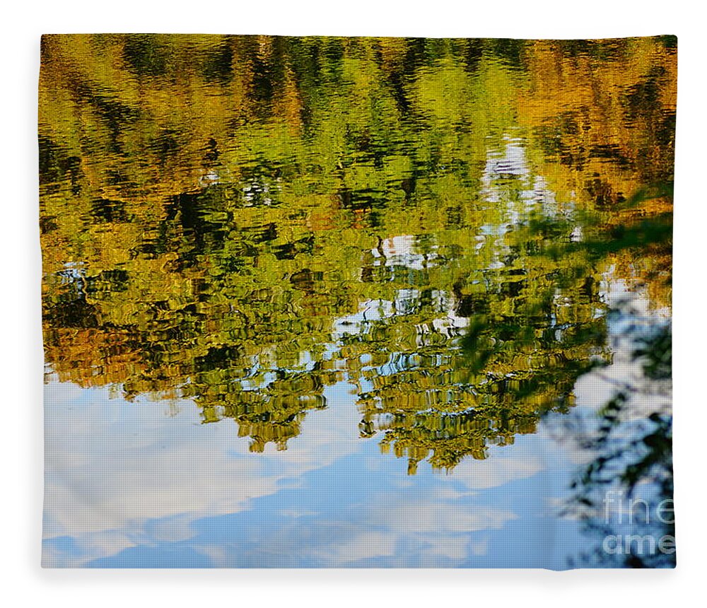 Parks Fleece Blanket featuring the photograph Washington Park #6 by Jeffery L Bowers