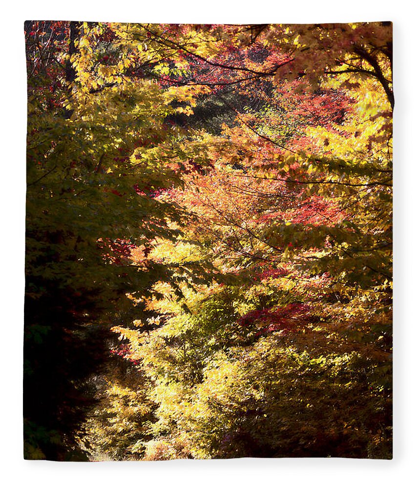 Yellow Fleece Blanket featuring the photograph Autumn Colors and road #3 by Mark Duffy