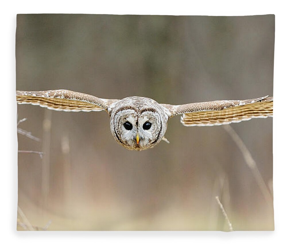 Barred Owl Fleece Blanket featuring the photograph Barred Owl In Flight #5 by Scott Linstead
