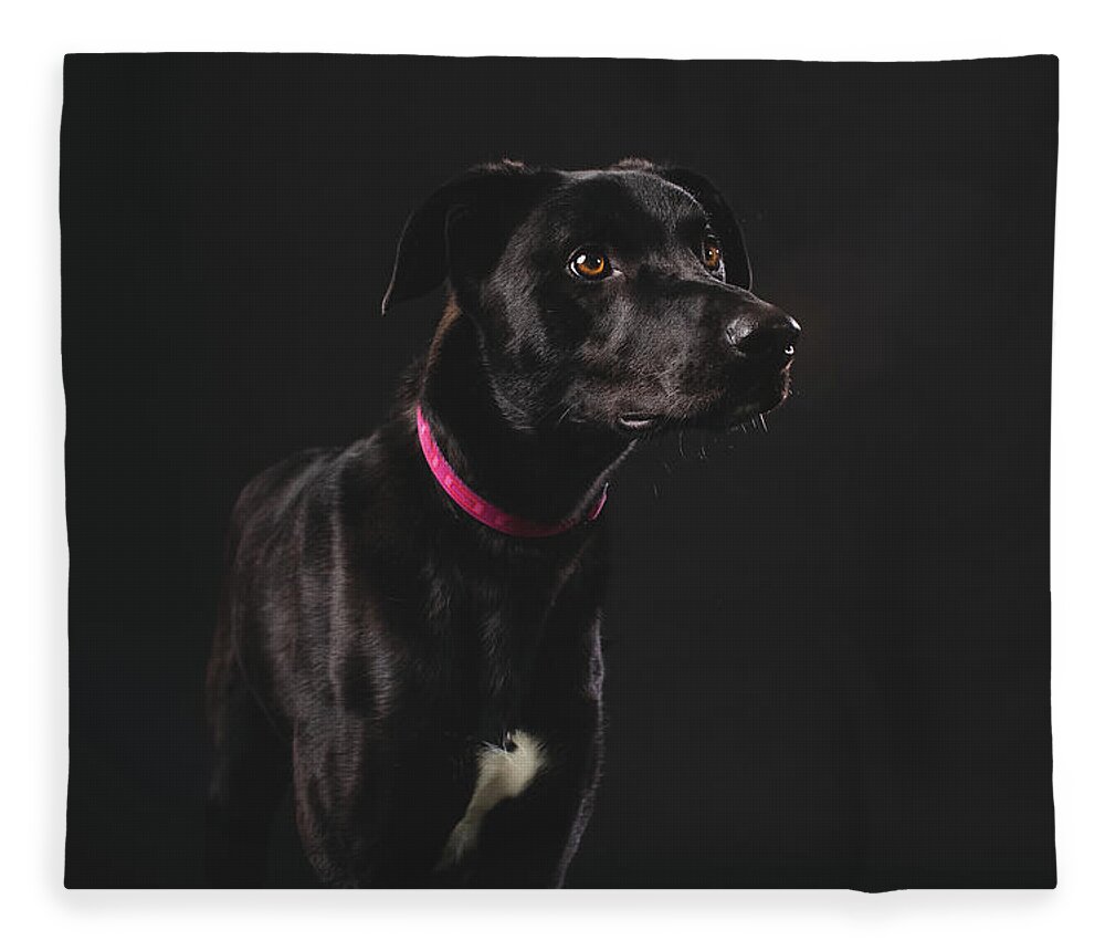 Pets Fleece Blanket featuring the photograph Fortunate Tails #3 by Matt Porteous