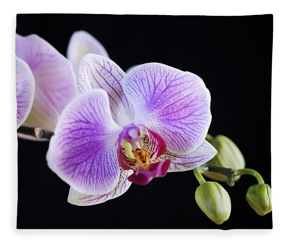 Orchid Fleece Blanket featuring the photograph Pink Orchid flower by Michalakis Ppalis