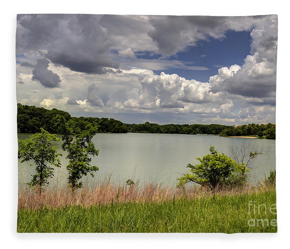 Backgrounds Fleece Blanket featuring the photograph 3-Summer time at Moraine View State Park by Alan Look