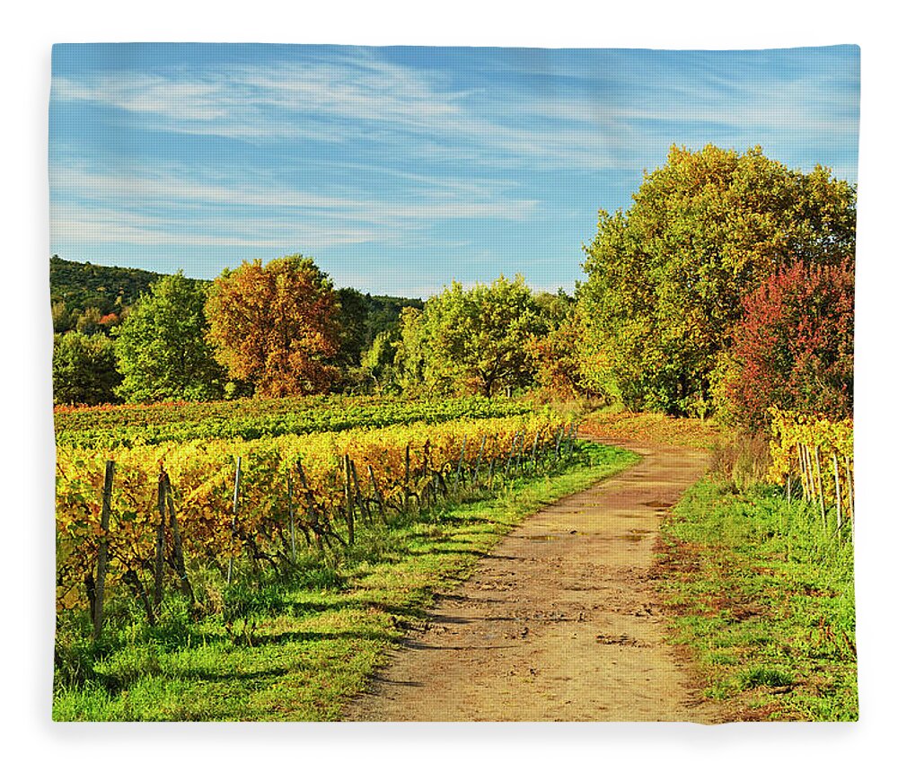 Scenics Fleece Blanket featuring the photograph Vineyard Landscape by Jochen Schlenker