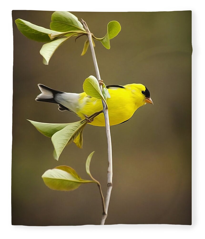 Goldfinch Fleece Blanket featuring the painting American Goldfinch by Christina Rollo