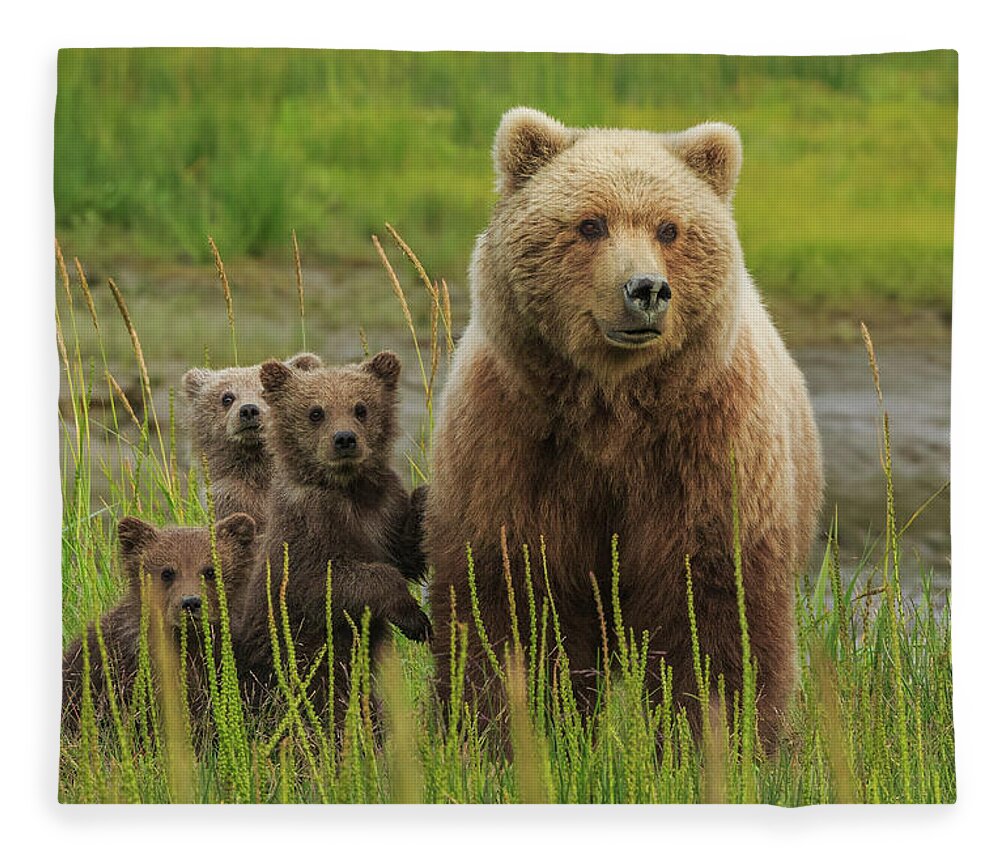 Brown Bear Fleece Blanket featuring the photograph Brown Bear Sow And Cubs, Lake Clark #4 by Mint Images/ Art Wolfe