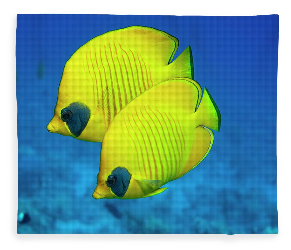 Red Sea Fleece Blanket featuring the photograph Butterflyfish #4 by Georgette Douwma