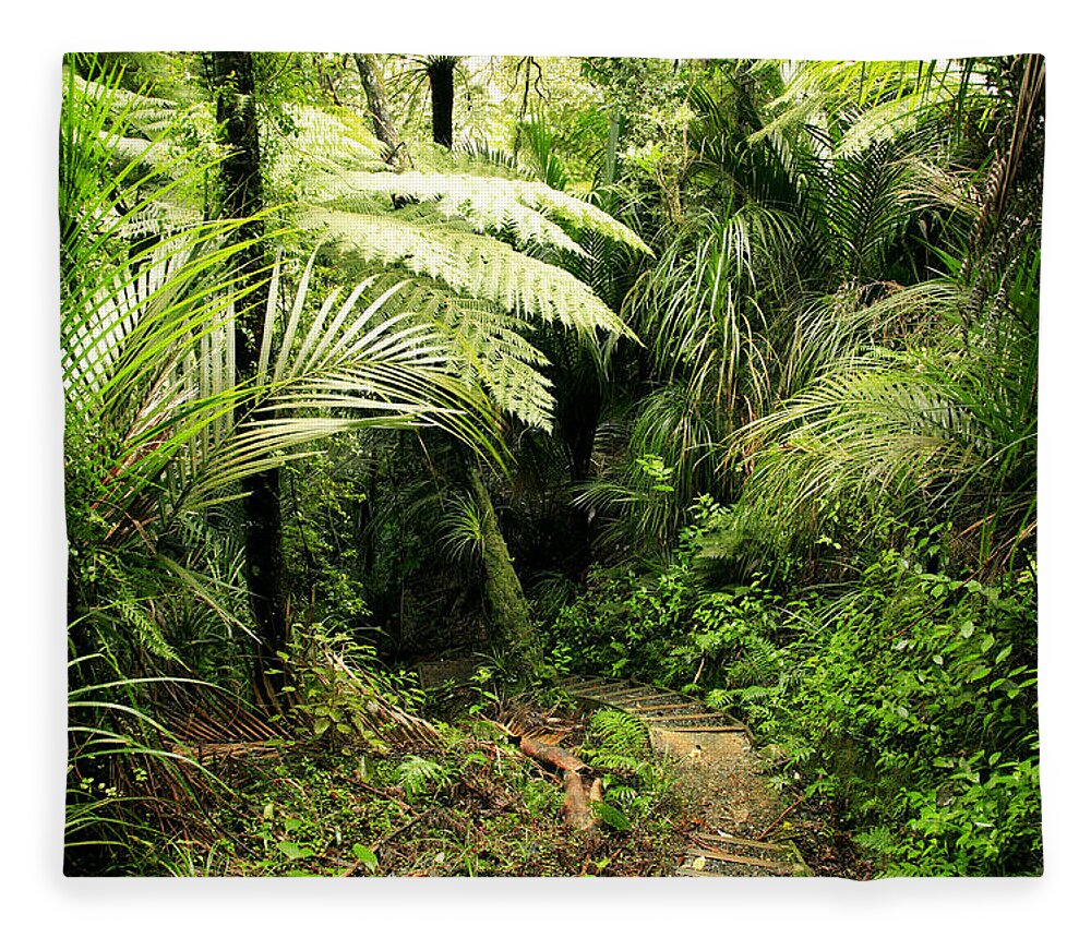 Jungle Fleece Blanket featuring the photograph Forest No1 by Les Cunliffe