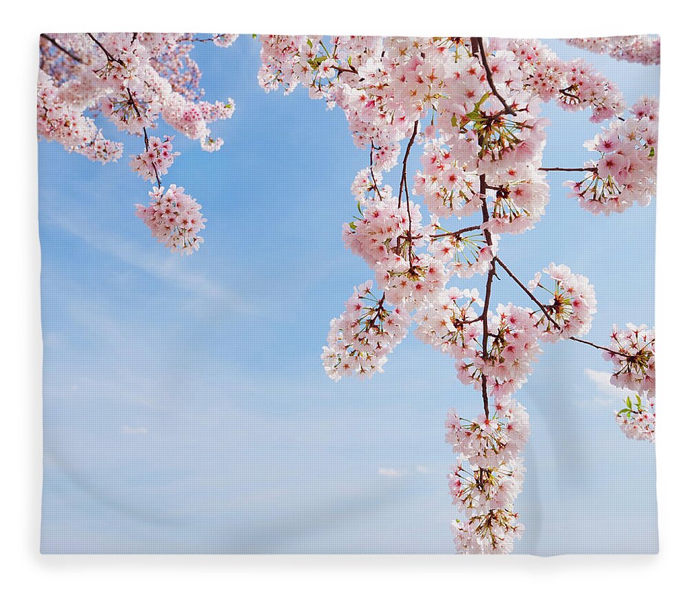 Scenics Fleece Blanket featuring the photograph Usa, Washington Dc, Cherry Tree In #4 by Tetra Images
