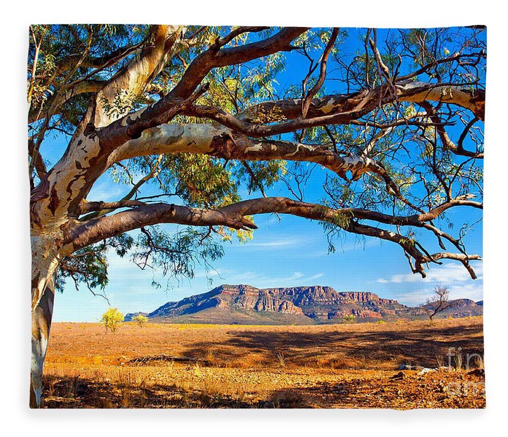 Wilpena Pound Flinders Ranges South Australia Outback Landscape Fleece Blanket featuring the photograph Wilpena Pound #13 by Bill Robinson