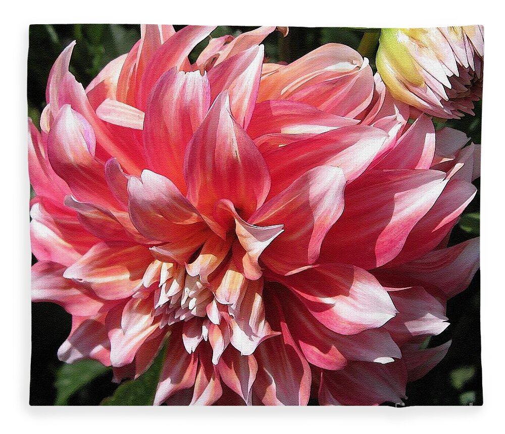 Mccombie Fleece Blanket featuring the painting Dahlia named Myrtle's Brandy #2 by J McCombie