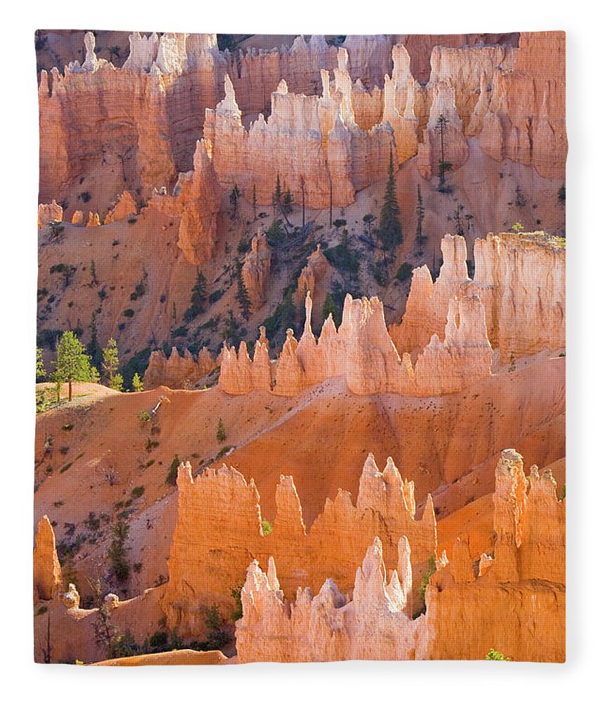00431147 Fleece Blanket featuring the photograph Sandstone Hoodoos in Bryce Canyon by Yva Momatiuk John Eastcott