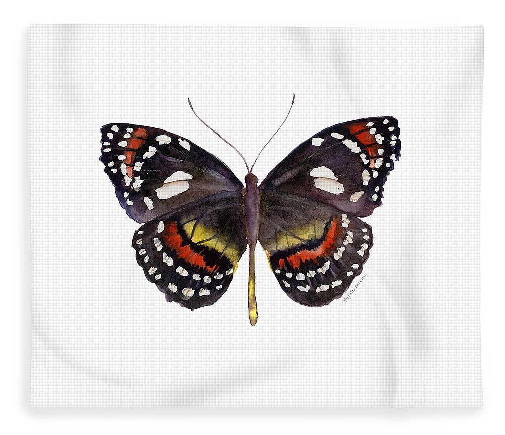 Elzunia Bonplandii Butterfly Fleece Blanket featuring the painting 50 Elzunia Bonplandii Butterfly by Amy Kirkpatrick