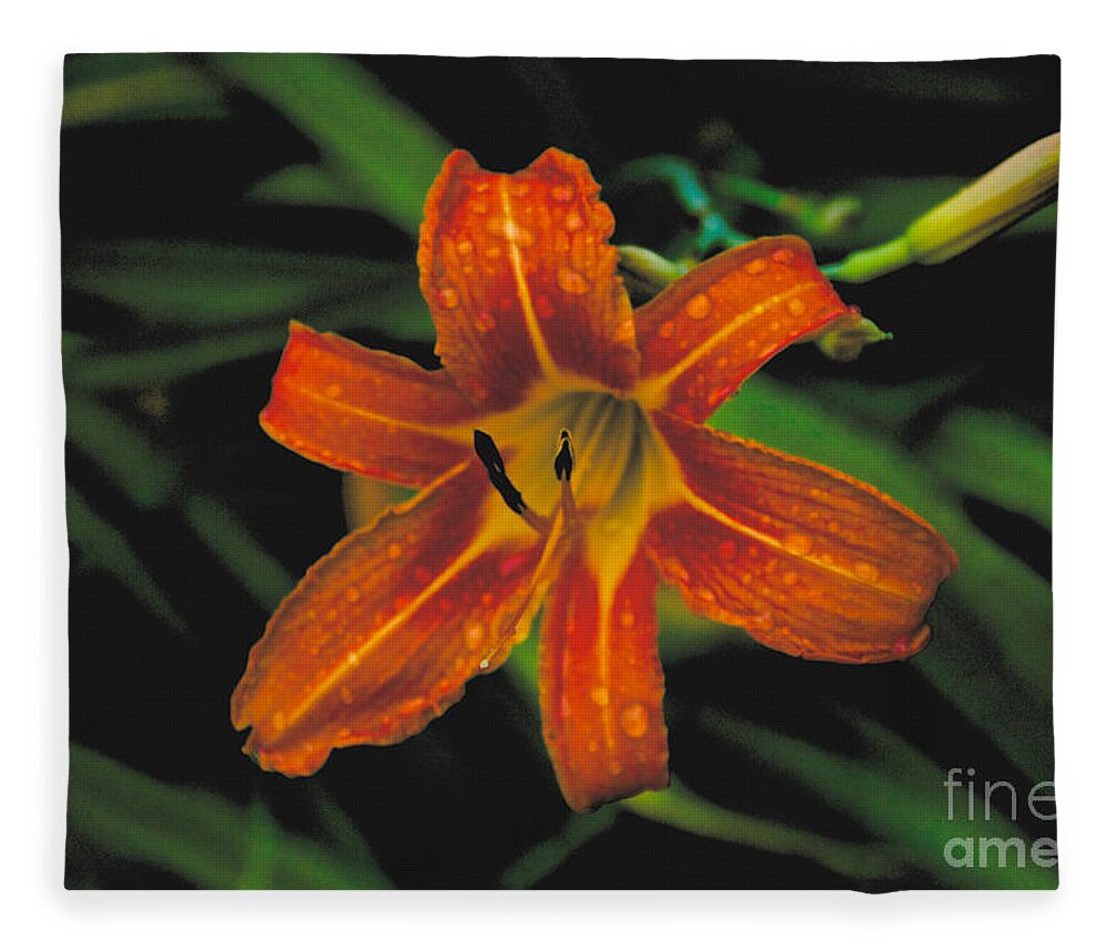 Day Lilly Fleece Blanket featuring the photograph Day Lilly #6 by William Norton