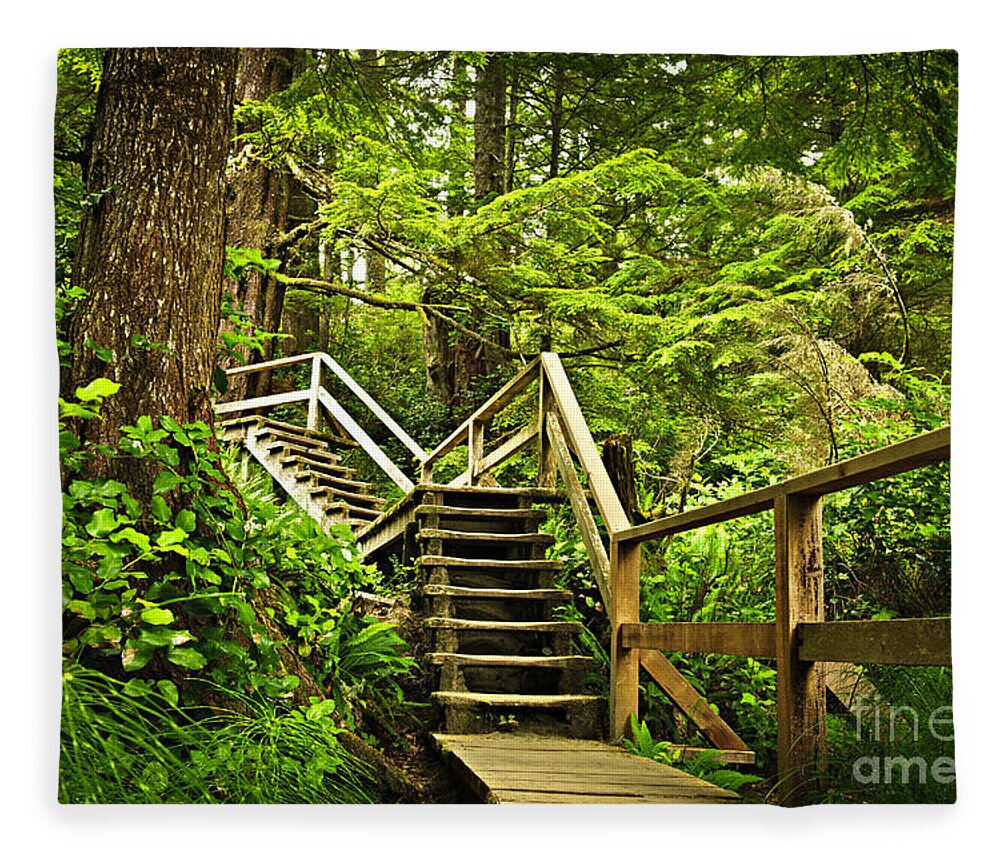 Rainforest Fleece Blanket featuring the photograph Path in temperate rainforest 1 by Elena Elisseeva
