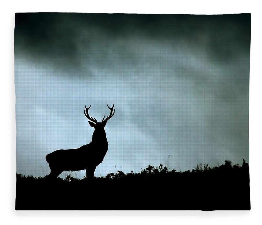 Stag Silhouette Fleece Blanket featuring the photograph Stag silhouette #7 by Gavin Macrae
