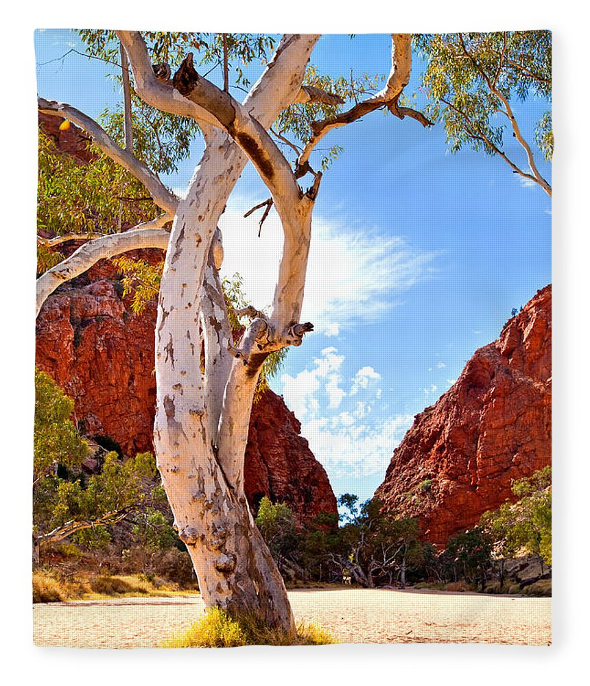 Simpsons Gap Central Australia Landscape Outback Water Hole West Mcdonnell Ranges Northern Territory Australian Landscapes Ghost Gum Trees Fleece Blanket featuring the photograph Simpsons Gap #7 by Bill Robinson
