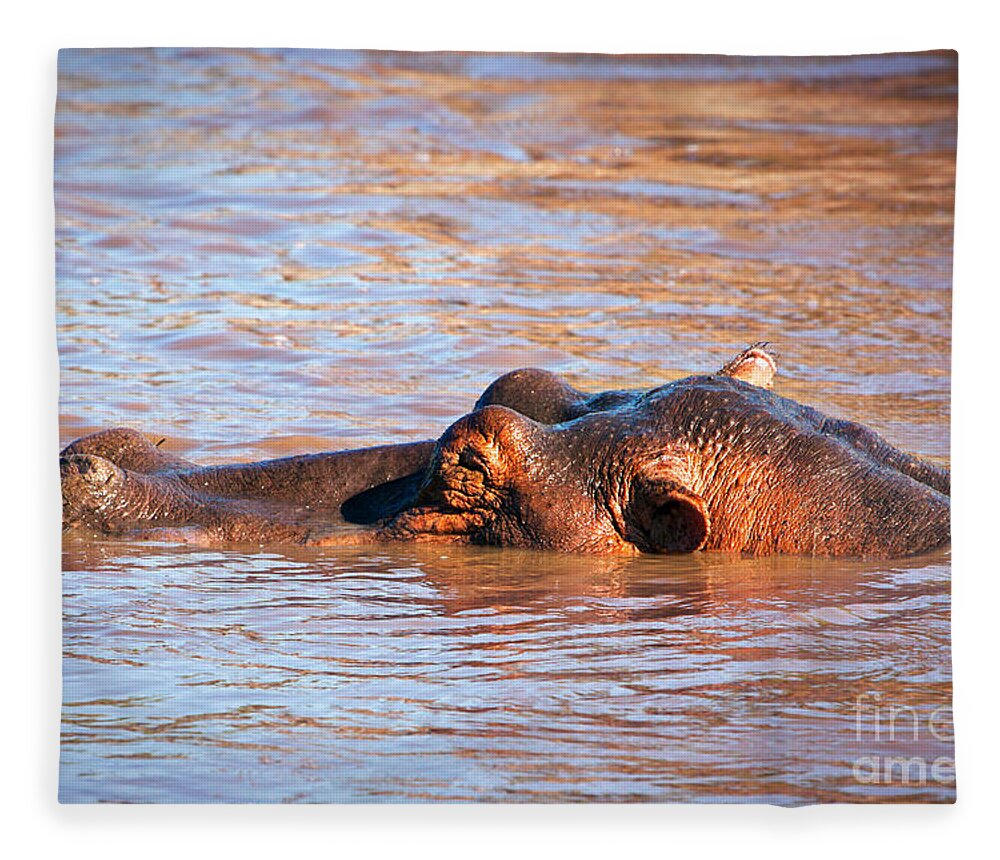 Hippo Fleece Blanket featuring the photograph Hippopotamus in river. Serengeti. Tanzania #9 by Michal Bednarek