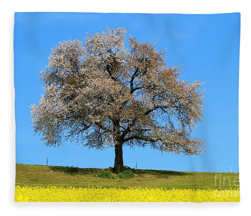  Agriculture Fleece Blanket featuring the photograph A blooming lone Tree in Spring with canolas in front 2 by Amanda Mohler