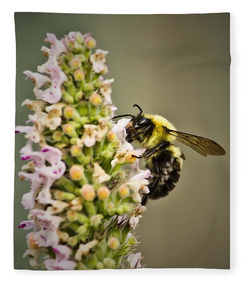 Bee Fleece Blanket featuring the photograph A Bumble Bee Working by Ms Judi