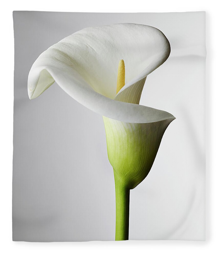 Elegance Fleece Blanket featuring the photograph A Close-up Of A Calla Lily, Stamen by Larry Washburn