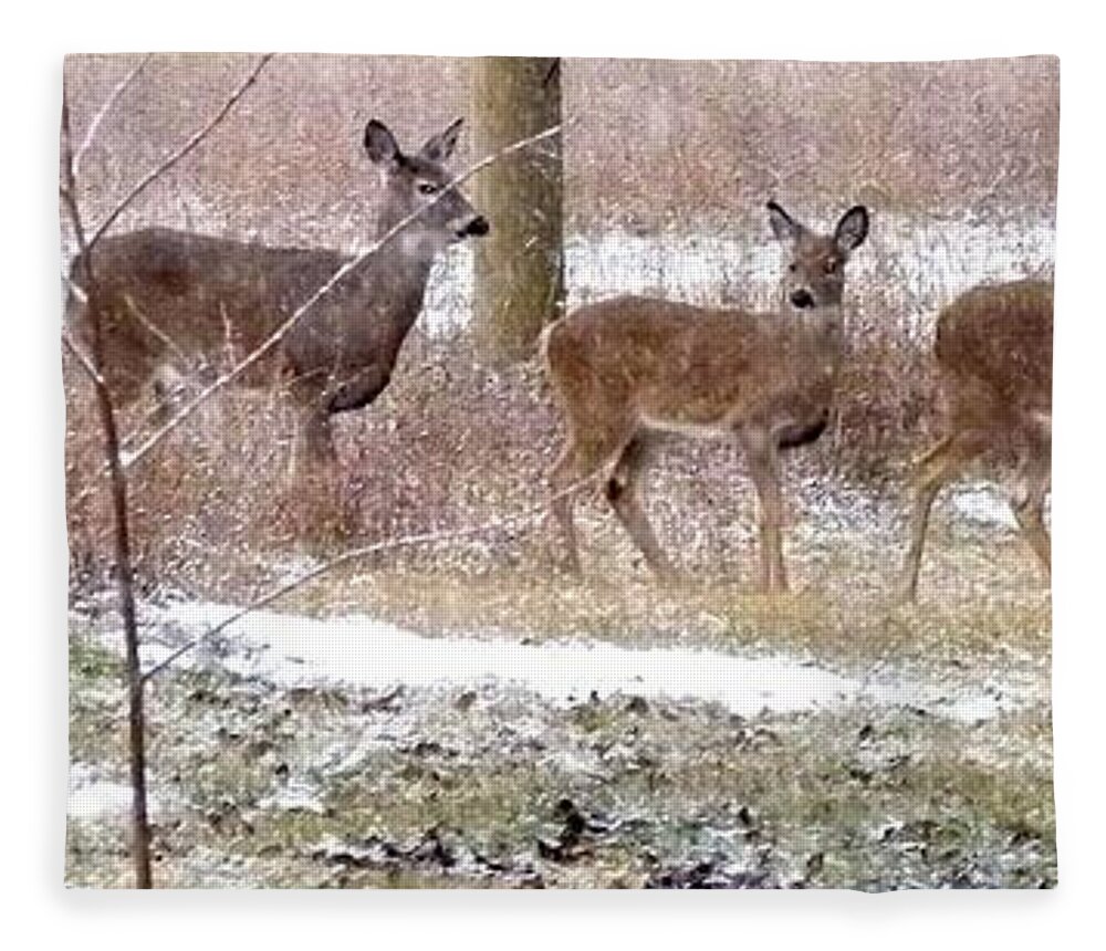 A Dusting On The Deer Fleece Blanket featuring the photograph A Dusting On The Deer by Will Borden