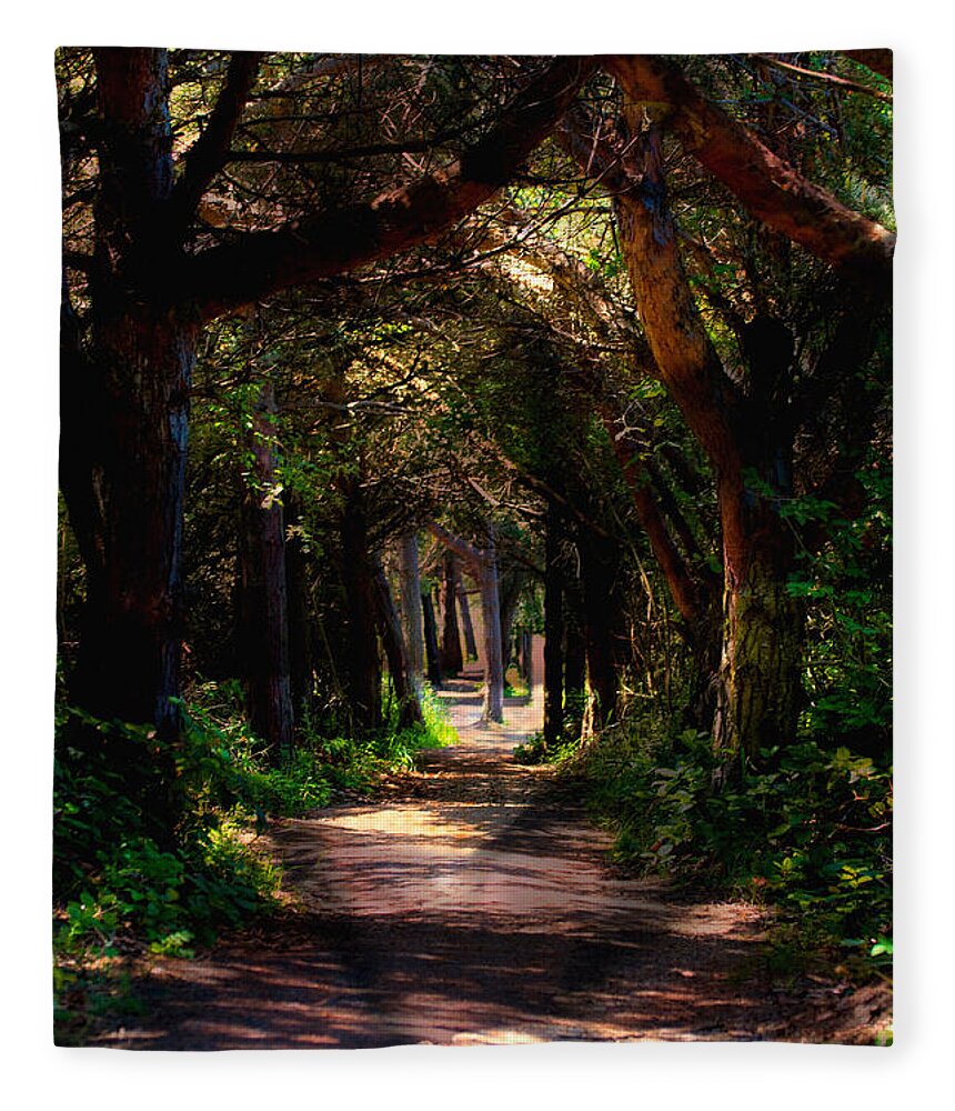 Forest Fleece Blanket featuring the photograph A Forest Path -Dungeness Spit - Sequim Washington by Marie Jamieson