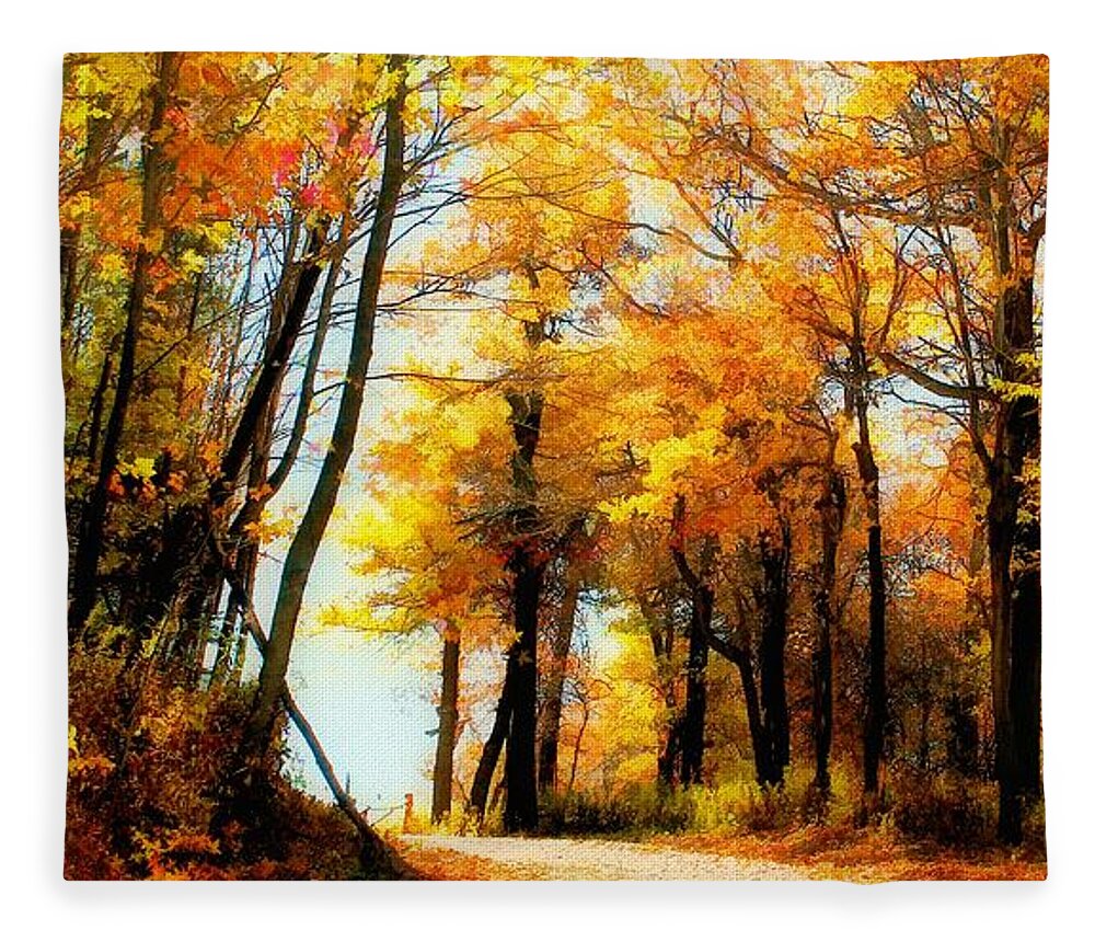 Autumn Leaves Fleece Blanket featuring the photograph A Golden Day by Lois Bryan