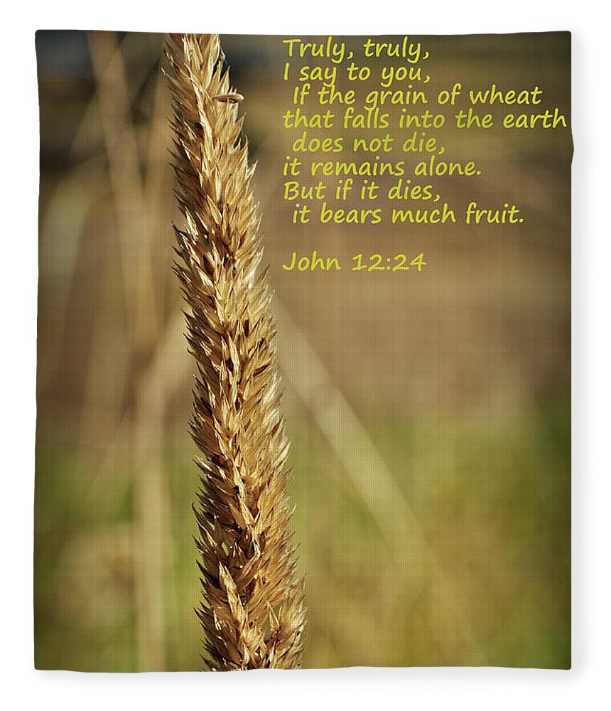 A Grain Of Wheat Fleece Blanket featuring the photograph A Grain of Wheat by Tikvah's Hope