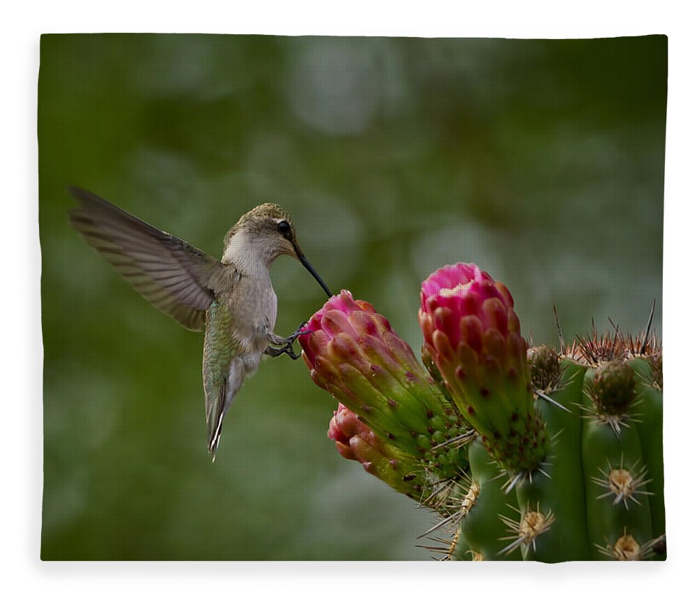 Hummingbird Fleece Blanket featuring the photograph A Happy Little Hummer by Saija Lehtonen