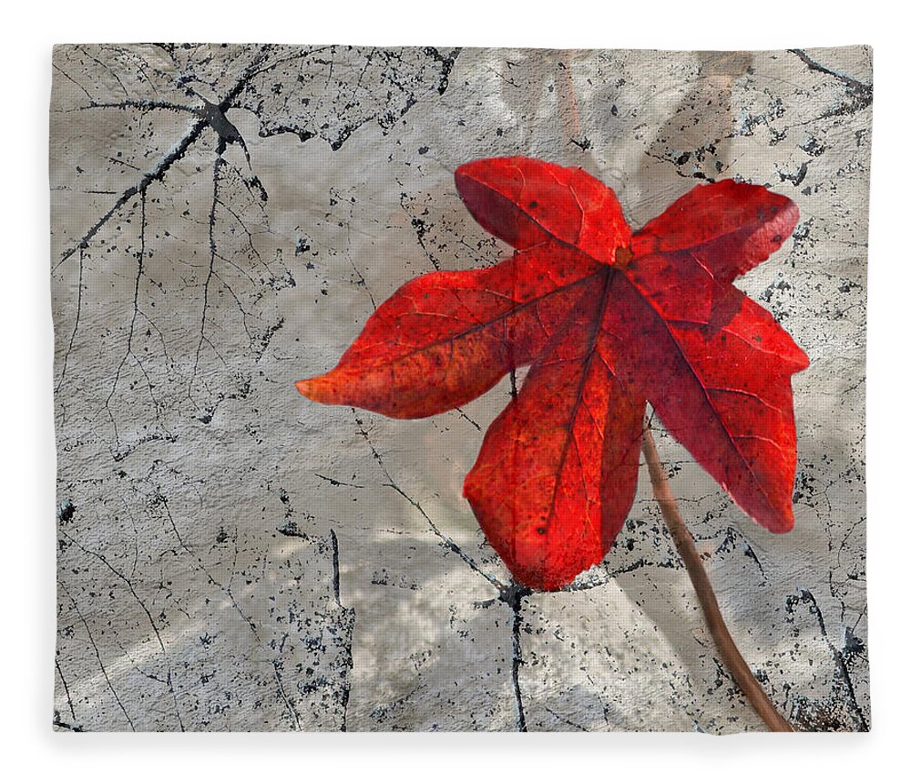 Red Fall Leaf Fleece Blanket featuring the photograph A Perfect Fall Red by Sandi OReilly