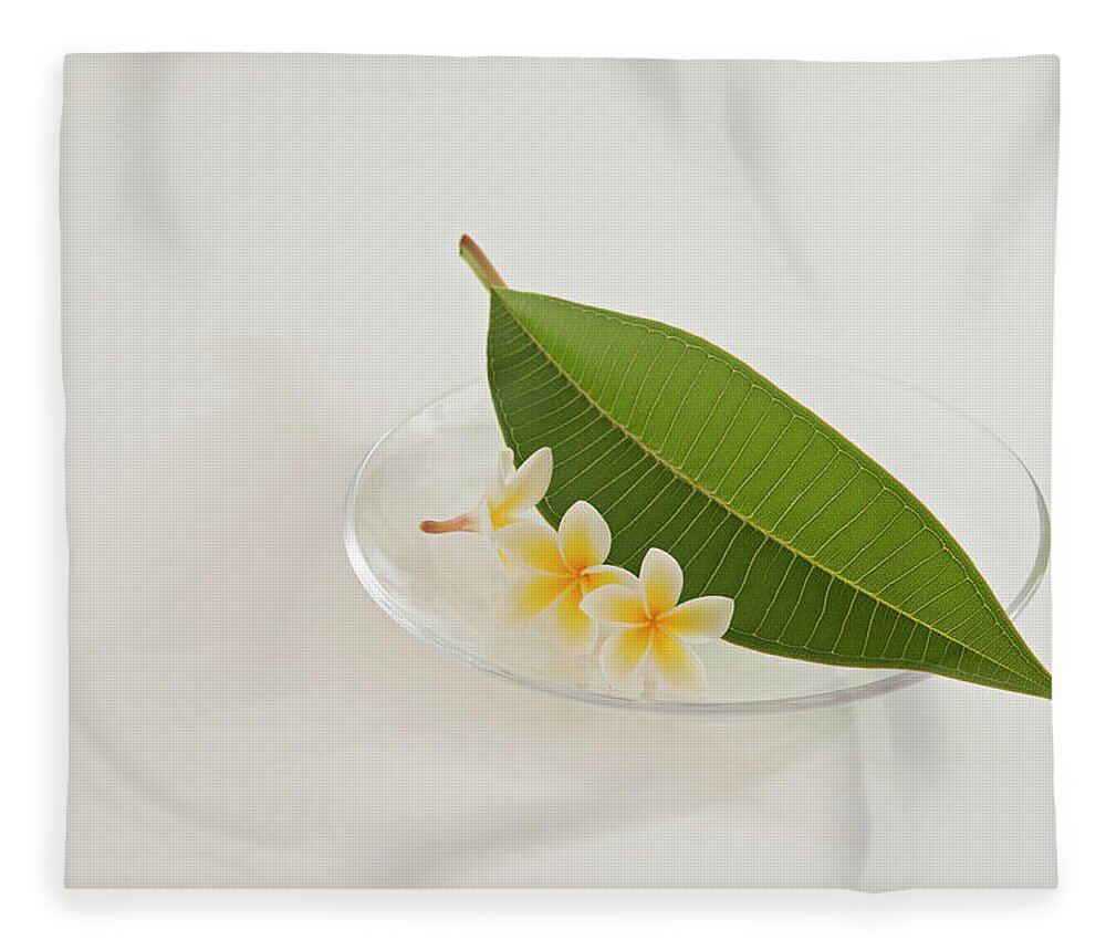 White Background Fleece Blanket featuring the photograph A Plate Of Plumeria Flowers And Leaf by Margarita Komine